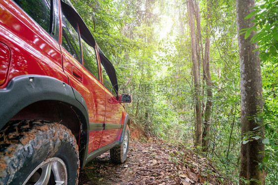 红色suv夏季汽车和山路在森林土路上行驶自由空间供您装饰绿色森林背景图片