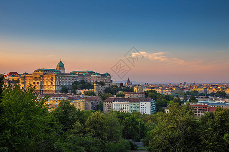 匈牙利布达佩斯布达城堡皇宫夏日有金夕阳和绿树布达清背景图片