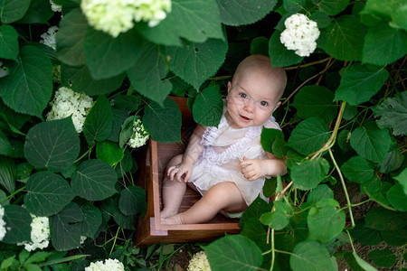 个月大的小女孩在夏天坐在花丛中图片