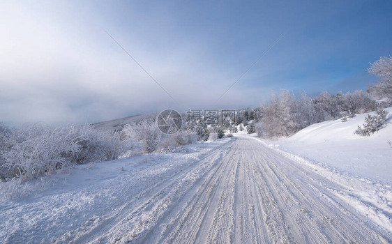 寒冷的冬天早晨在山林里有雪覆盖的冷杉树StaraPlanina山壮丽的户外场景在保加利亚自然之美图片