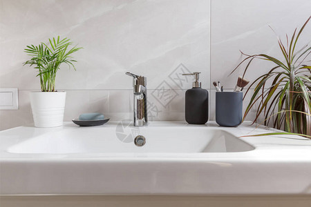 室内浴室内有水槽洗浴盆液肥皂瓶和绿色热带植物图片
