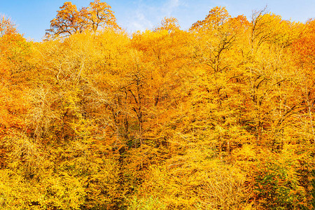 罗莎库托尔高海拔度假胜地的美丽云彩耀眼的阳光和秋叶图片