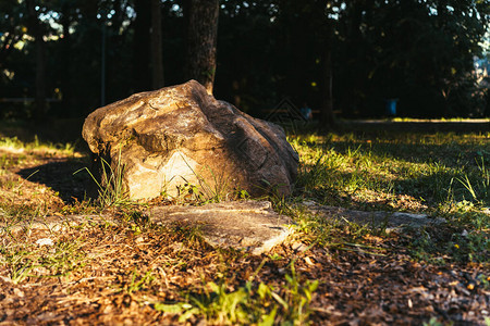 一块大花岗岩石躺在草地上图片