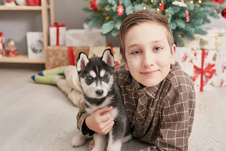 圣诞圣诞树上带着狗哈士奇小狗的小男孩新年快乐图片