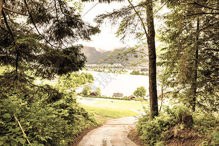 从森林到奥地阿尔卑斯山沃尔夫冈西湖的路线图片