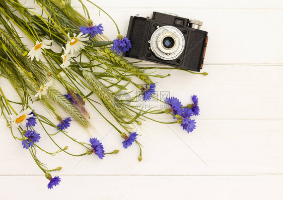 白色木质背景上带有花椰和花菊的老旧相机图片