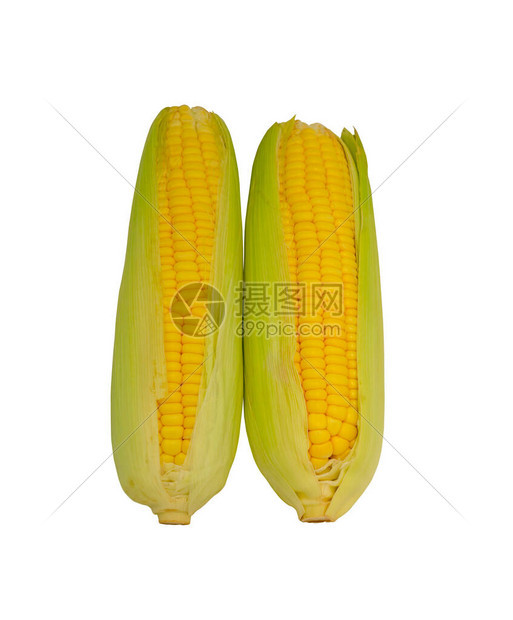 两种新鲜的黄玉米和绿壳叶剥图片
