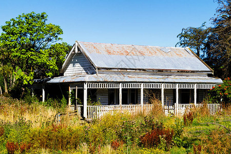 被摧毁和遗忘的小屋在农场中间在新西兰图片