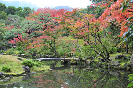 日本秋天花园的景色很美图片