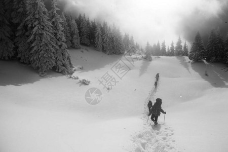 山中高山的传承者滚轮黑白冬季图片