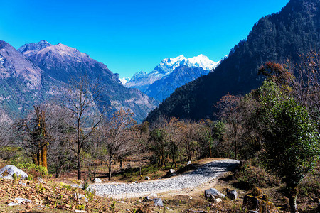 背景是马纳斯鲁峰在尼泊尔受欢迎的旅游目的地小径上的全景安纳普尔纳赛道前往大本营和ThorungLa或图片