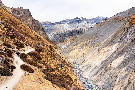 尼泊尔旅游景点路线AnnapurnaCirectricTrail通往基地营和ShoongLa或ThorungL图片