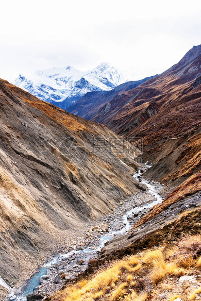 尼泊尔旅游景点路线AnnapurnaCirectricTrail通往基地营和ShoongLa或ThorungL图片