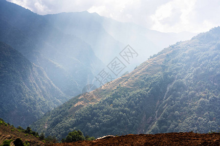 前往Annapurna基地营的途中图片