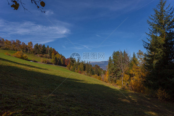 意大利ValdiTires市秋色草地和森林图片
