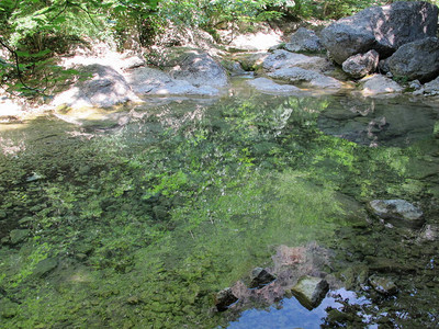 克里米亚峡谷底部流淌的山区河流的透明水中反射着长满树图片