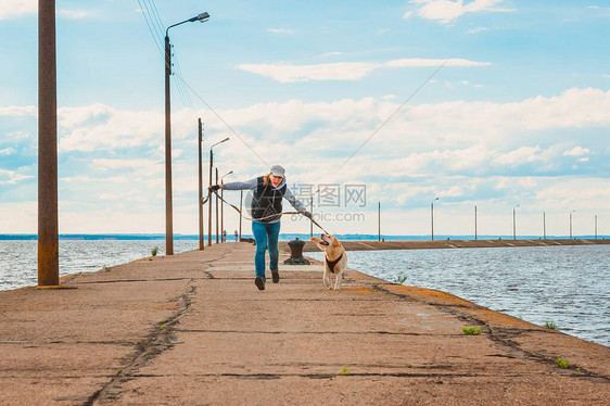 一个女孩和一只拉布多犬沿着海码头欢快地奔跑与拉布多犬一起进行运图片