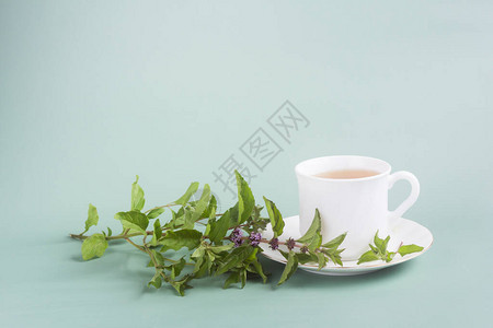 灰绿色背景的桌子上放着一杯带薄荷小枝的白茶图片
