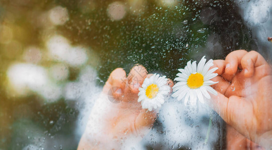 村窗玻璃上的雨滴图片