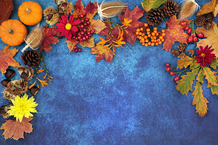 秋天丰收节背景边界与食物植物和动物群为伍的蓝树林背图片