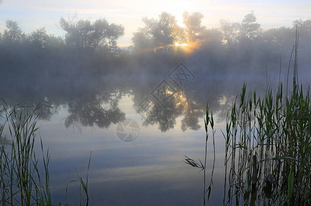 清晨风云薄雾的河边宁静的清晨风景图片