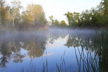 河边清晨的美好宁静景图片