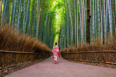 传统Yukata妇女与红伞在日本京都图片