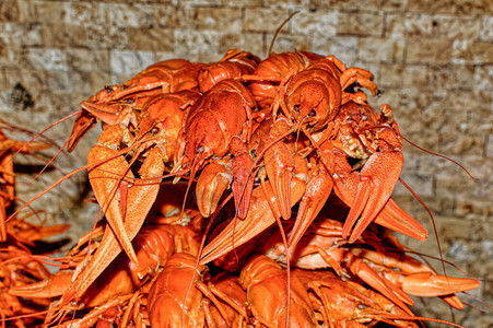 新鲜烹制的红小龙虾或龙虾供晚餐食用图片