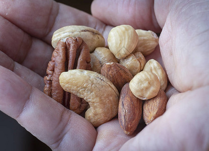 包括可食用杏仁核桃腰果花生图片