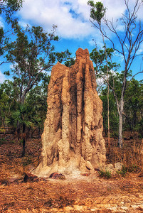澳北大利亚Kakadu公园的古迹背景图片