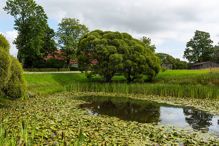 乡村小池塘边的房子背景图片