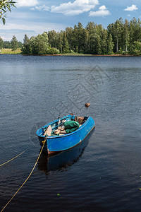 夏季森林湖与小船图片