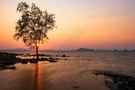 泰国克拉比KlongMuang和Tubkaek海滩附近的高光岛KohKwangIsland的静立树日落和运动图片