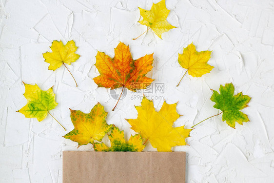 棕色手工艺袋中的多彩秋季叶子图片