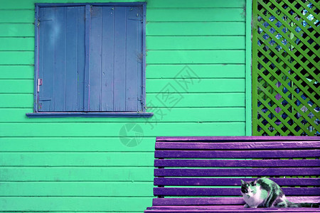 超现实艺术风格的彩色糖果猫在紫色木林大厦前的紫图片