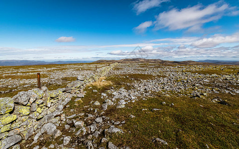 Cairngorms地貌图片