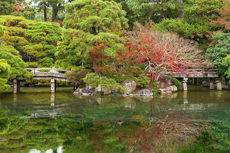 日本京都秋季池塘田园风光图片