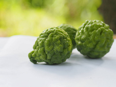 粗皮绿蔬菜科学名称粗皮绿色蔬菜图片素材