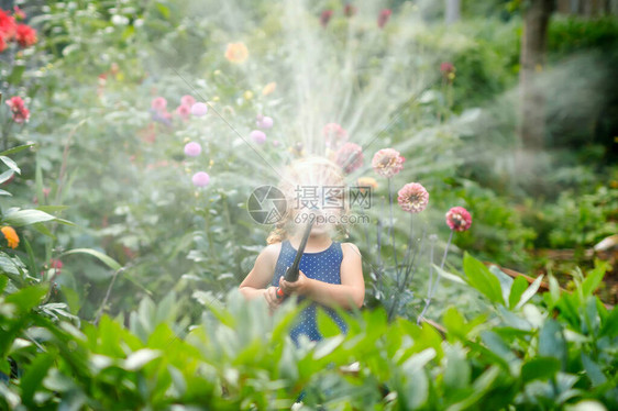 美丽的蹒跚学步的小女孩在夏日用水管浇花快乐的孩子在家庭花园里帮忙图片