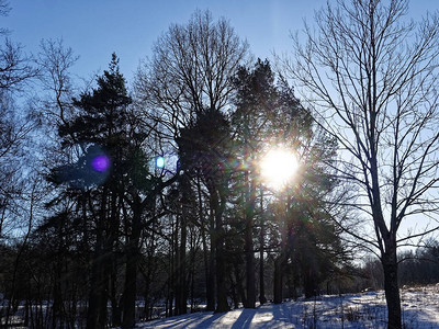 在莫斯科阳光明日的冬天图片