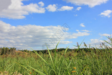 夏日风景绿草如茵蓝天多云自然背景图片