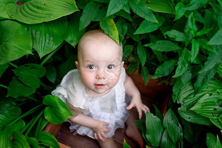 个月大的小女孩夏天坐在花丛中图片