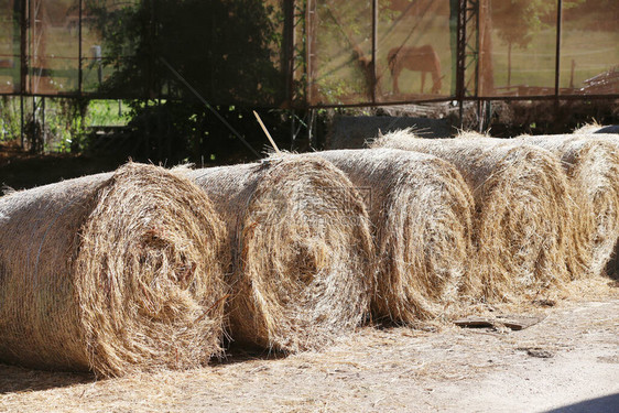 收获后有干草捆的农村动物农场的视图干草卷在农村夏令时结束干草质地干草堆成大堆放在一个不知图片