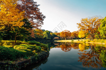 日本东京北野丸花园图片