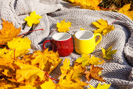 秋天的黄叶上放着热咖啡或茶的杯子图片