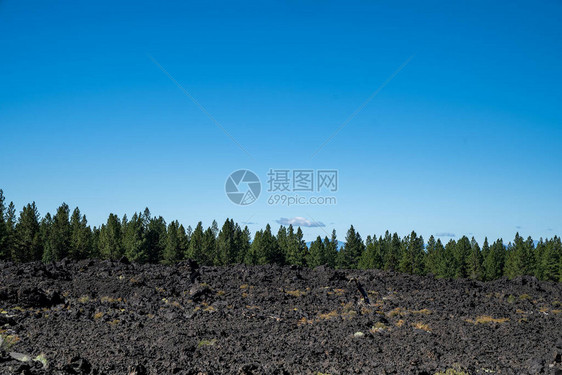 NewberryVolcano纪念碑火山岩浆流边缘生长的松树负空图片