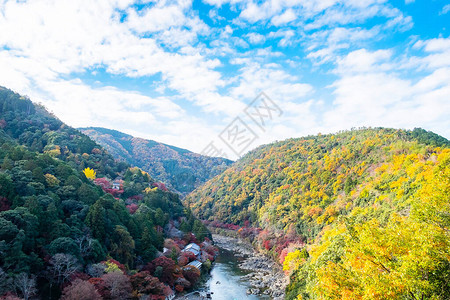 在日本京都旅游景点受欢迎的地貌里程碑秋季节假期周六和观光概念Arashiyama图片