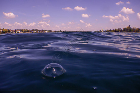 鱼污染夏天在湖边有波浪在背景