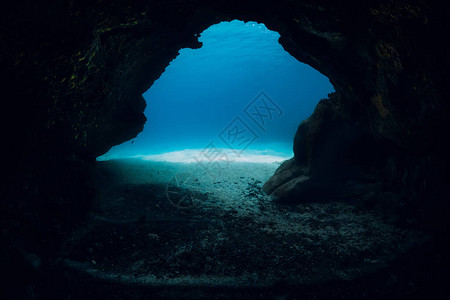 海底露水场面蓝色海洋中图片
