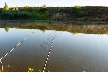 两条鱼竿站在一个鱼池沙岸上图片
